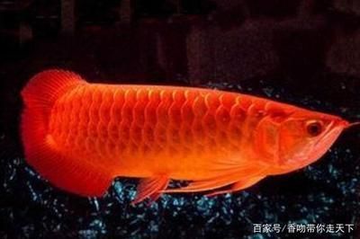 魚缸重量對(duì)木地板有影響嗎如何對(duì)應(yīng)(魚缸 多重)