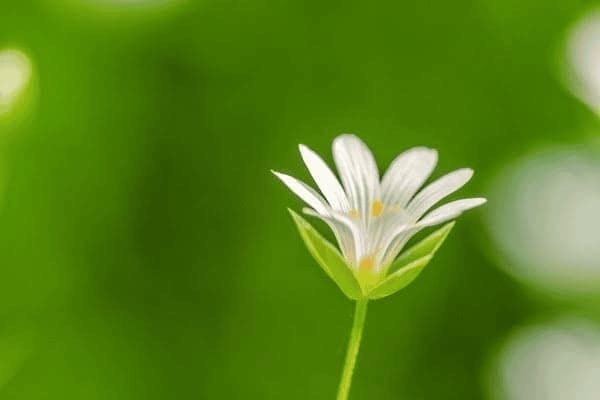 钢结构厂房安装多少钱一吨包工(钢结构厂房安装费用)