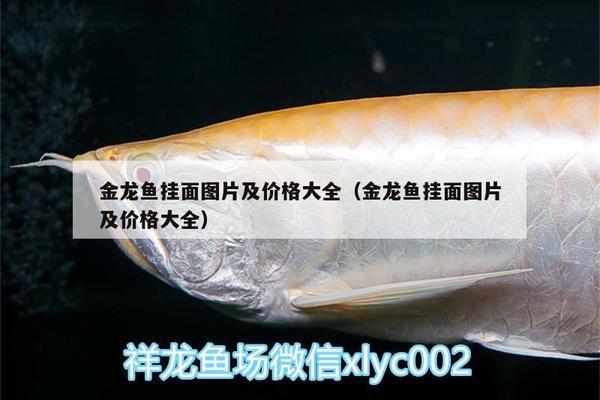 齊河縣海榮花卉水族商店（齊河縣海榮花卉水族商店電話） 全國(guó)水族館企業(yè)名錄