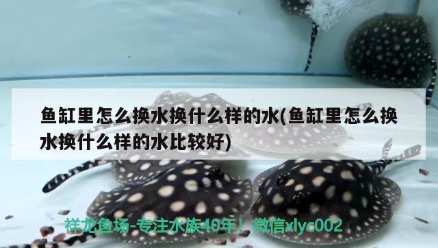 泰安魚缸生產(chǎn)加工廠電話多少(泰安魚缸生產(chǎn)加工廠電話多少號(hào)碼) 喂食器