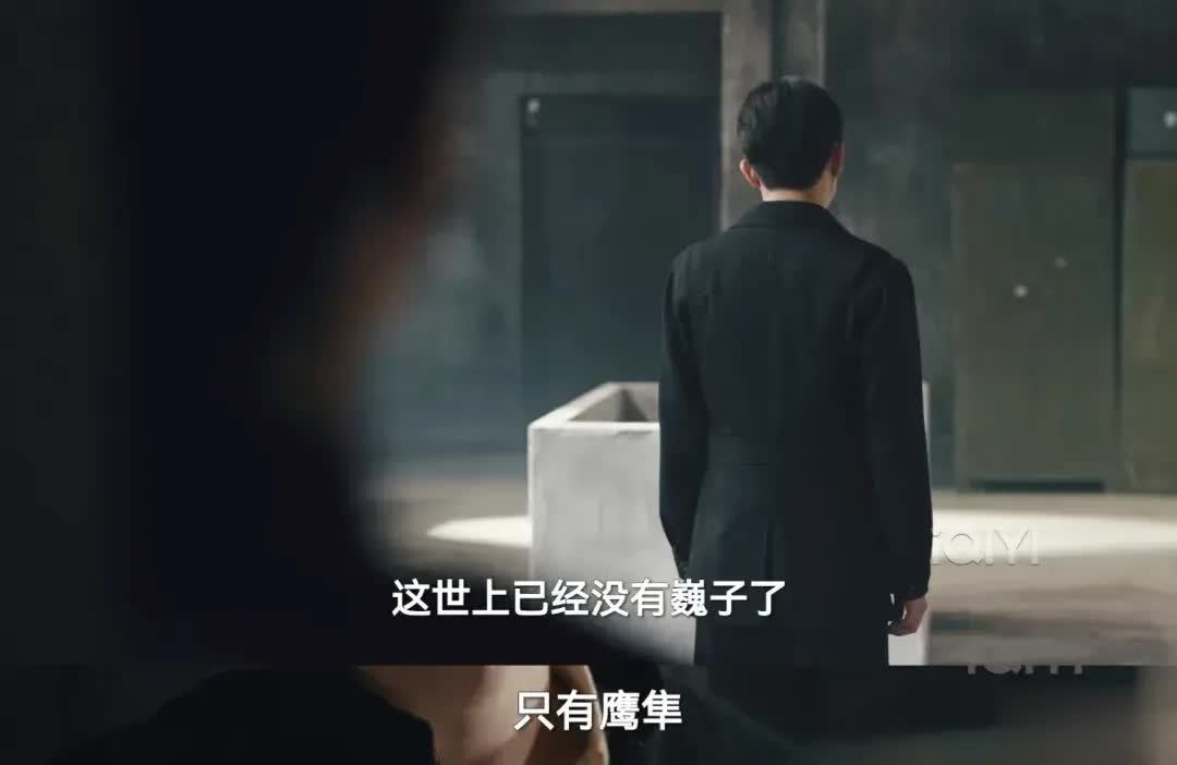 暗夜與黎明大結局，林少白至死不知徐巍買“四大金剛”目的
