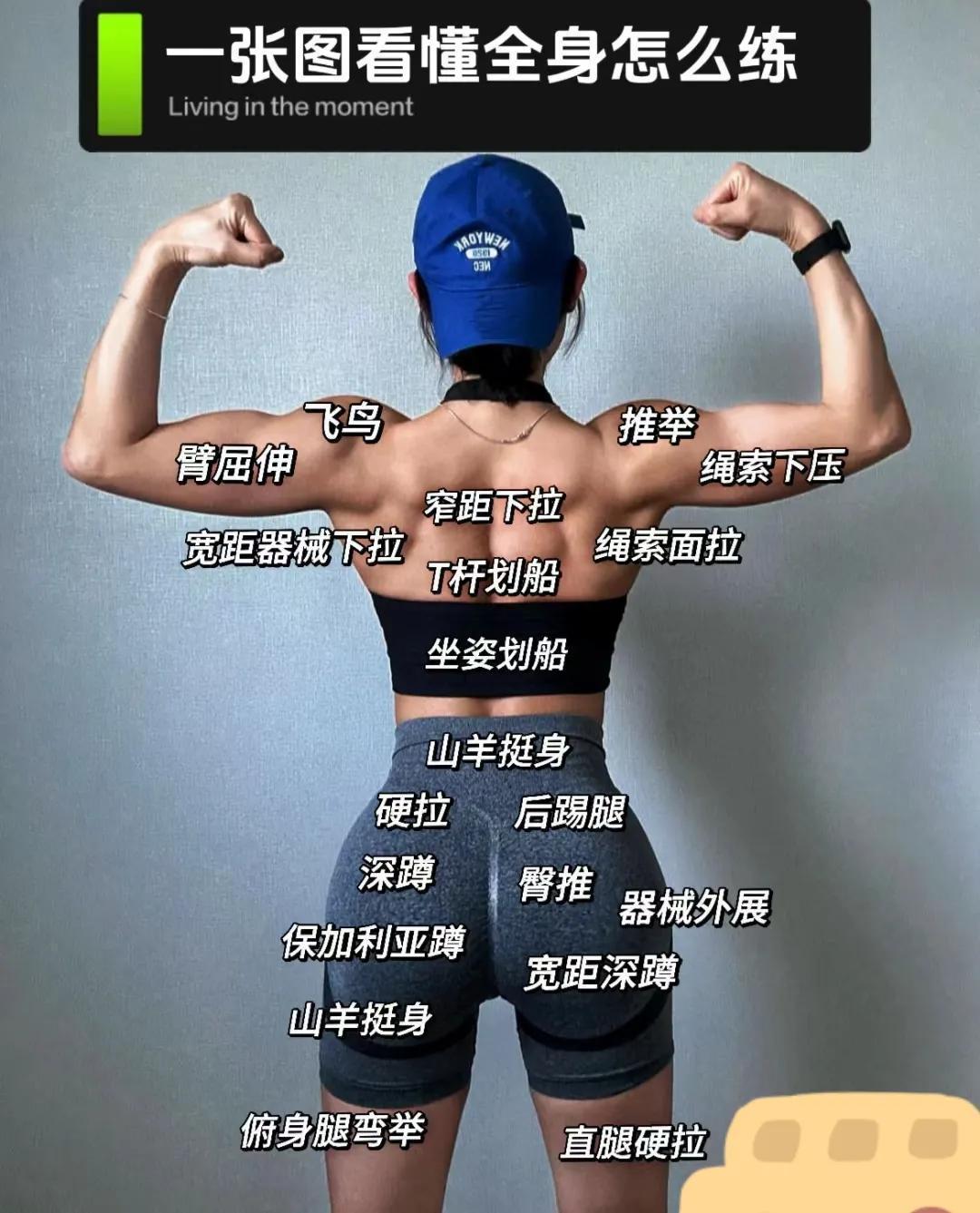 从骨瘦如柴到微胖之美：女明星运动前后对比揭示完美身材真相- 360娱乐