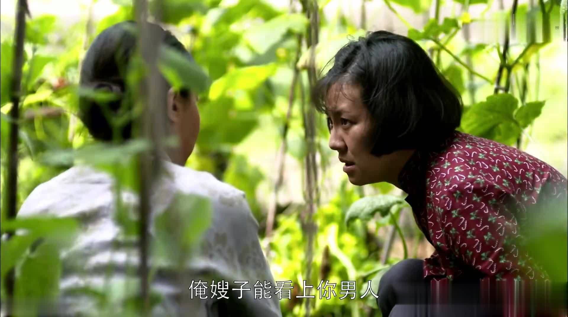 三看《父母爱情》才知，安欣最羡慕的人不是安杰而是江德华- 360娱乐