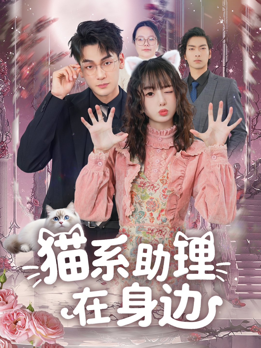猫系助理在身边