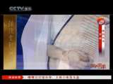 风华国乐 风华国乐 2010年 第286期