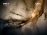生财有道 《生财有道》 20150723 付大胆的财富路