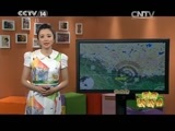 新闻袋袋裤 《新闻袋袋裤》 20150522
