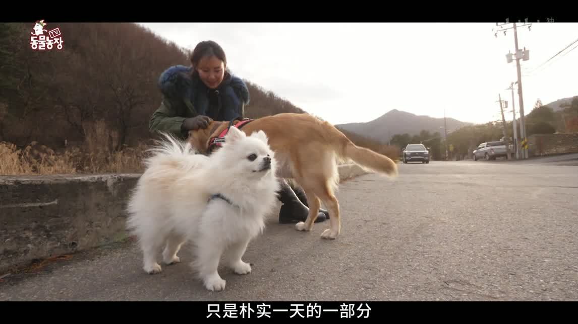 动物农场2020 地狱之火