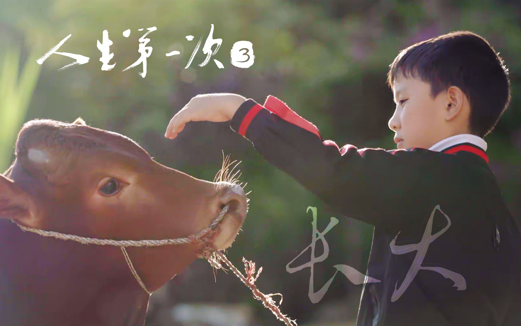 人生第一次 长大 | 我在爸妈看不到的地方偷偷长大