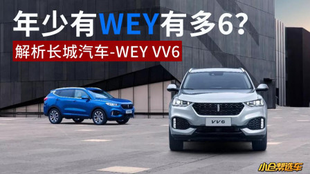 年少有WEY有多6？ WEY VV6用实力说话