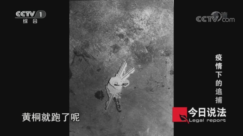 今日说法 《今日说法》 20201010 疫情下的追捕