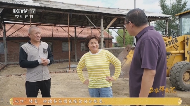 三农群英汇 《三农群英汇》 20260513 小鸡蛋 大产业