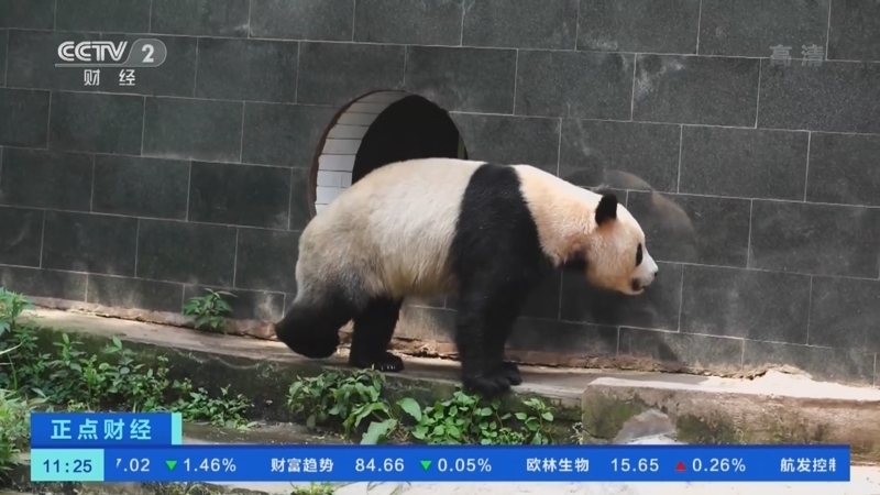 正点财经 《正点财经》 20221019 11:00