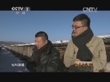生财有道 《生财有道》 20140313 南方“狐王” 漠河养狐记