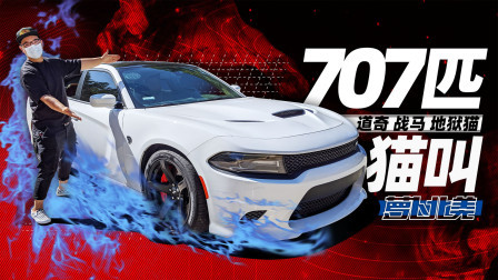 萝卜报告 2020 比挑战者还快！美国警察都羡慕的战马地狱猫