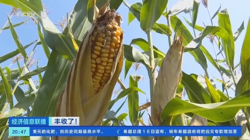 经济信息联播 《经济信息联播》 20230918