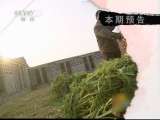 生财有道 生财有道 2011-02-18