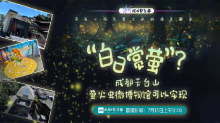 “柯”探成都宝藏 “白日赏萤”？成都天台山萤火虫微博物馆可以实现！