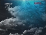 人与自然 《人与自然》 20120130 自然启示——暗夜奇观