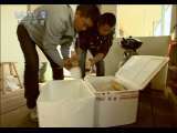 生财有道 生财有道 2010-12-17