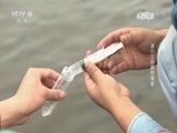 走近科学 《走近科学》 20160719 冰川上的厕所革命