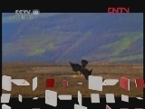 自然传奇 动物战场（四）[自然传奇] 20120208
