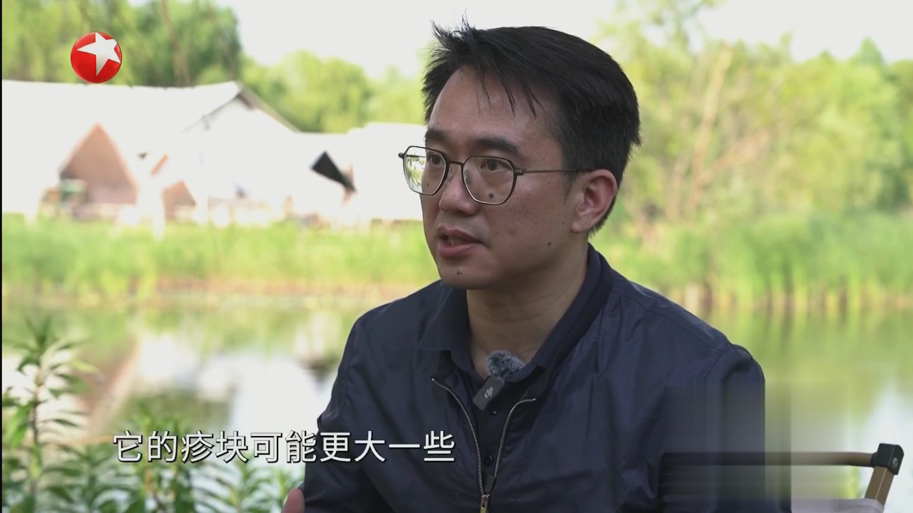 名医话养生 虫咬皮炎与普通蚊虫叮咬有什么区别
