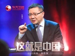 这就是中国 民调看民主