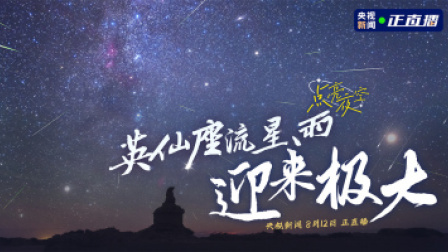 迎来极大英仙座流星雨 点亮夜空