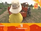 远方的家 《远方的家》 20150828 特别节目——暑假去游学（33）星球的奥秘