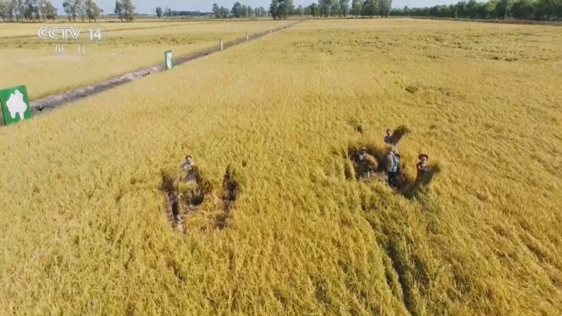 《智力快车》 20251230 神奇黑土地 丰收帮帮忙