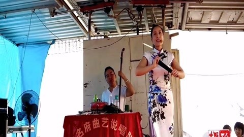 河南坠子 范翠霞 刘公案斩刘墉