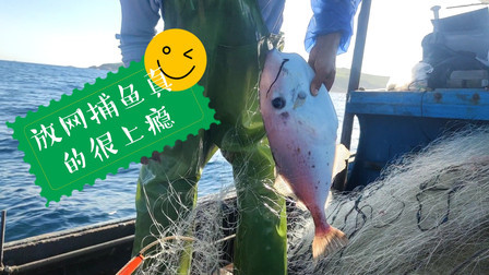 南澳岛赶海日记 出海放网捕鱼是会上瘾的，渔获都是成群结队的来，两天一夜卖了近6千元