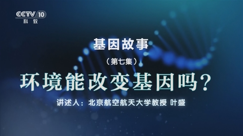 百家说故事 《百家说故事》 20260506