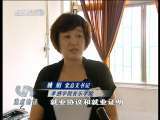 焦点访谈 就业率的数字游戏