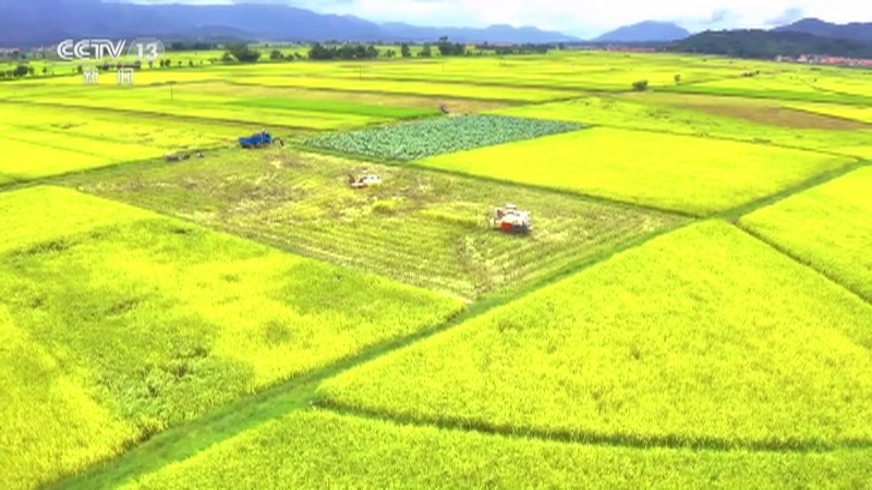 共同关注 《共同关注》 20230830
