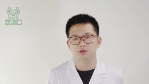 一犬一话 狗狗体外驱虫应该注意什么？