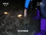 地理中国 《地理中国》 20180407 秘洞神鱼