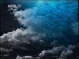 人熊情深 人熊情深（上）[人与自然] 20110709