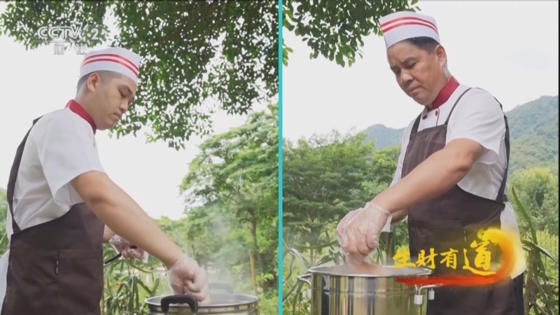 生财有道 《生财有道》 20240814 三黄胡须鸡 映日荷花红