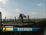 生财有道 《生财有道》 20180227 生态中国沿海行——海边生意海边财