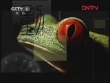 动物世界 《动物世界》 20120407