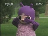 小小智慧树 《小小智慧树》 20131126