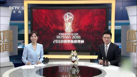 秀翻世界杯 网友帮伊布兑现承诺