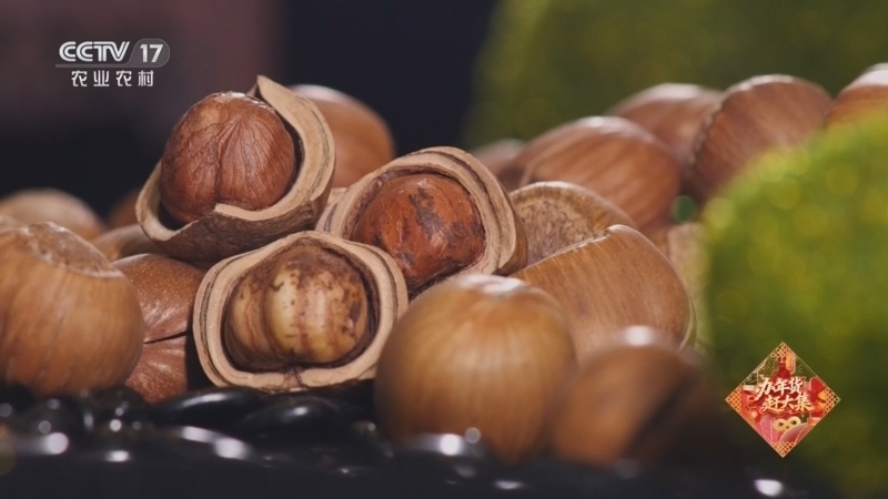 《谁知盘中餐》 20260214 食暖幸福年 龙马精神中国年