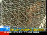 法治在线 法治在线 2010-10-18