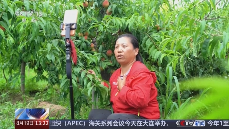 新闻直播间 《新闻直播间》 20260819 13:00