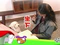 狗狗日记 第104天 妈咪好凶哦