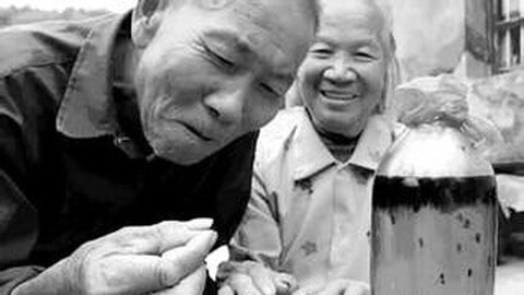 经典传奇 “怪人”们的财富经 密探食蚁村