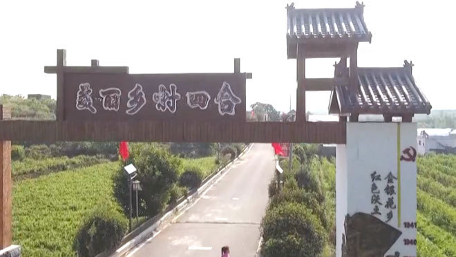 《我的美丽乡村》 20211105 金银花开出致富路